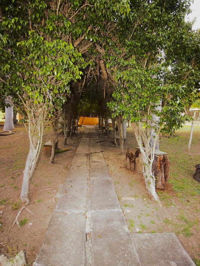 Hotel Nudista - Luz De Luna Nude Tehuixtla Экстерьер фото